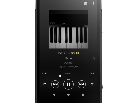 NW-ZX707 Walkman® ZX Series Portable Audio Player Supply