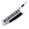 Roland AX-Synth Keytar Online