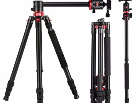 ZOMEI M8 GO Camera Tripod Travel Compact Aluminum Monopod with Ball Head for Flat-lay Photography Shoot on Sale