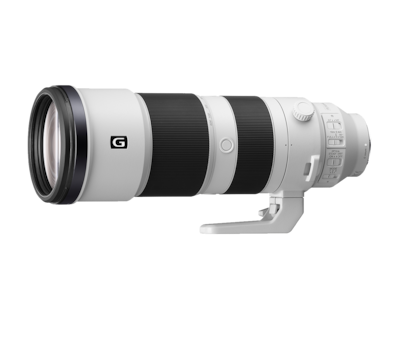 FE 200-600mm F5.6-6.3 G OSS Cheap